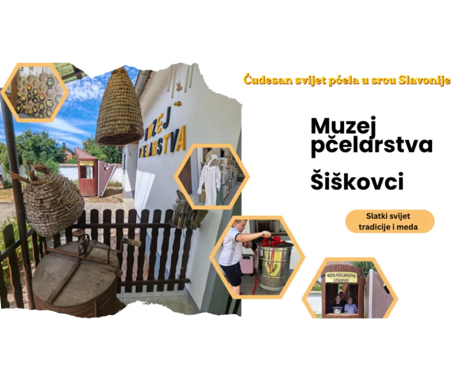 Posjet Muzeju pčelarstva